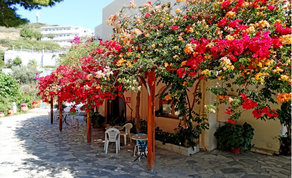 Crete Garden